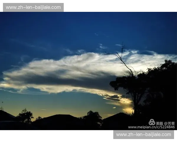 激情碰撞，荣耀之争：奥兰多与华盛顿的终极对决